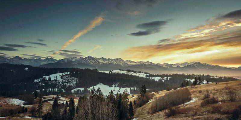 React与Vue.js在大型单页应用中的选型对比与性能优化：网站建设与移动应用开发的关键决策