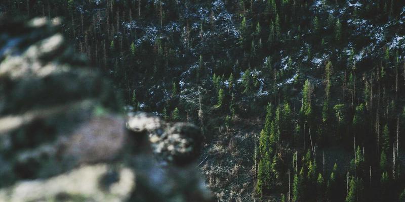 云原生应用开发实战指南：容器化、Kubernetes编排与DevOps如何驱动数字化转型