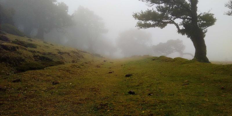 人工智能如何重塑软件开发：自动化与智能辅助编程的技术解决方案