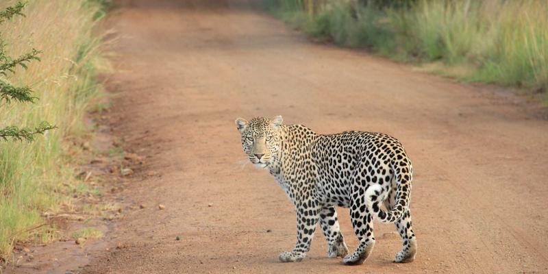 响应式编程在异步系统中的应用：RxJS与Project Reactor深度解析