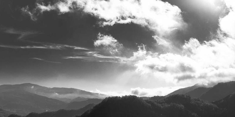 大数据处理技术如何重塑软件开发与网站建设，驱动企业数字化转型