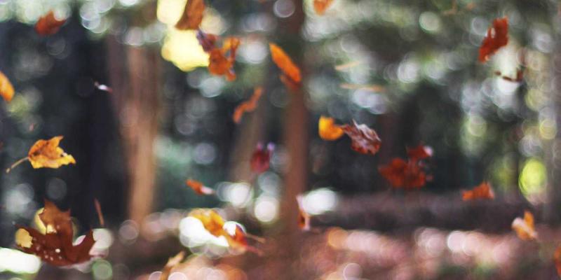 敏捷开发规模化实践：SAFe、LeSS与Scrum@Scale如何赋能移动应用与网站建设项目