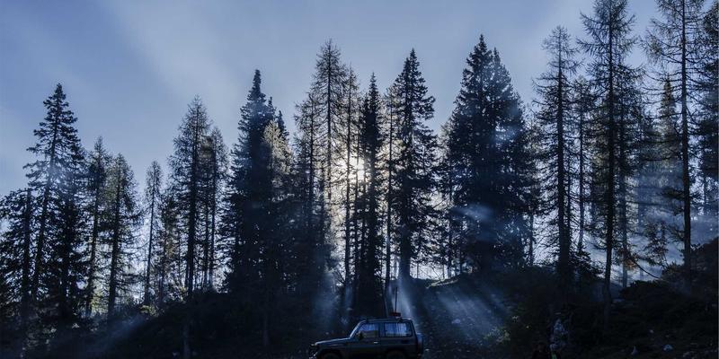 数字化转型时代：如何选择适合敏捷开发的软件项目管理工具，赋能移动应用与网站建设