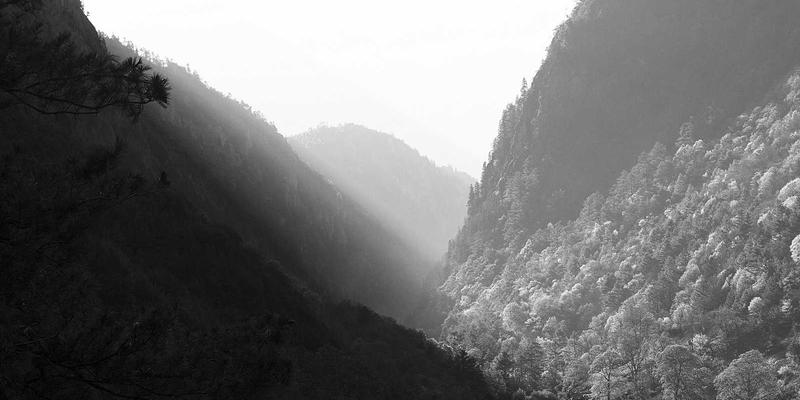 移动应用开发新趋势:技术解决方案如何重塑互联网服务生态