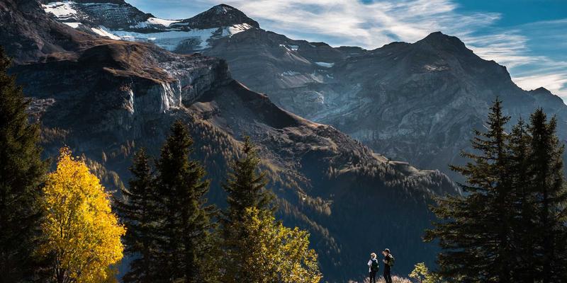 移动应用开发：驱动企业数字化转型的核心技术解决方案