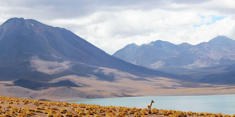 软件开发2.0时代:数字化转型、移动应用与互联网服务的融合创新