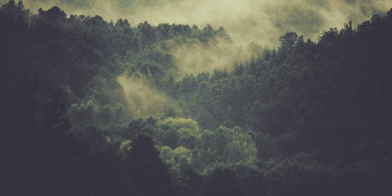 软件开发3.0时代:数字化转型如何重塑网站建设与软件生态