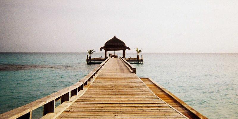 软件开发62：驱动网站建设与数字化转型的核心技术解决方案