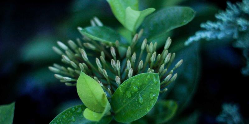 软件开发72法则：构建卓越移动应用与互联网服务的核心方法论