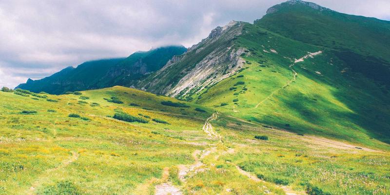 软件开发75：网站建设、移动应用与互联网服务的融合创新