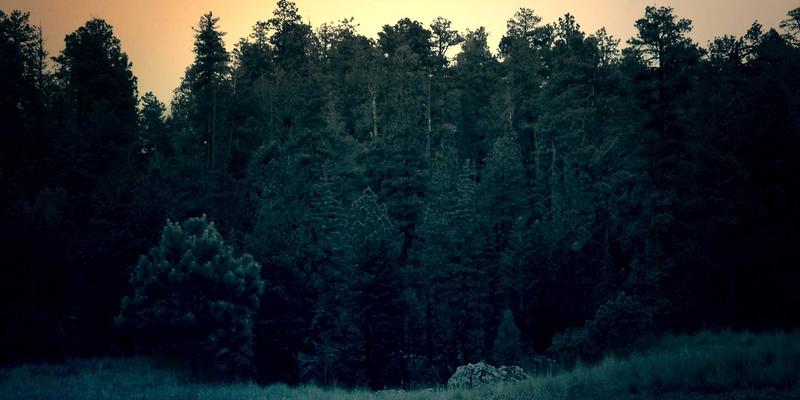 软件开发92：技术解决方案如何重塑互联网服务与网站建设新格局