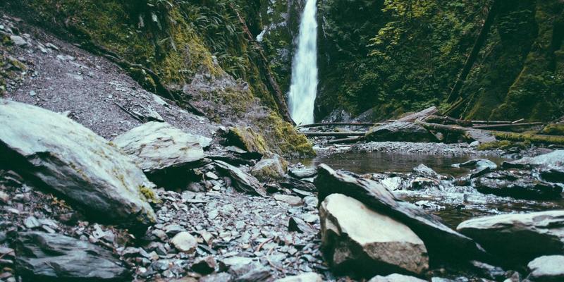 软件开发如何驱动数字化转型：构建智能互联网服务新生态