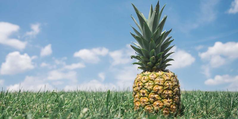 高并发系统设计与数据库优化：构建稳定高效的互联网服务技术解决方案